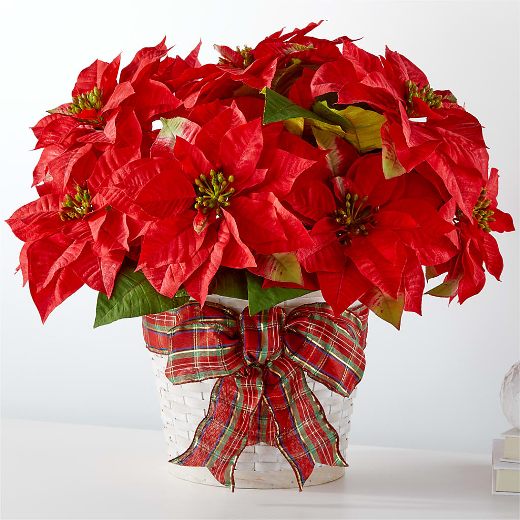 Happiest Holidays Poinsettia – MELINDA MCCOY'S FLOWERS, Long Beach CA