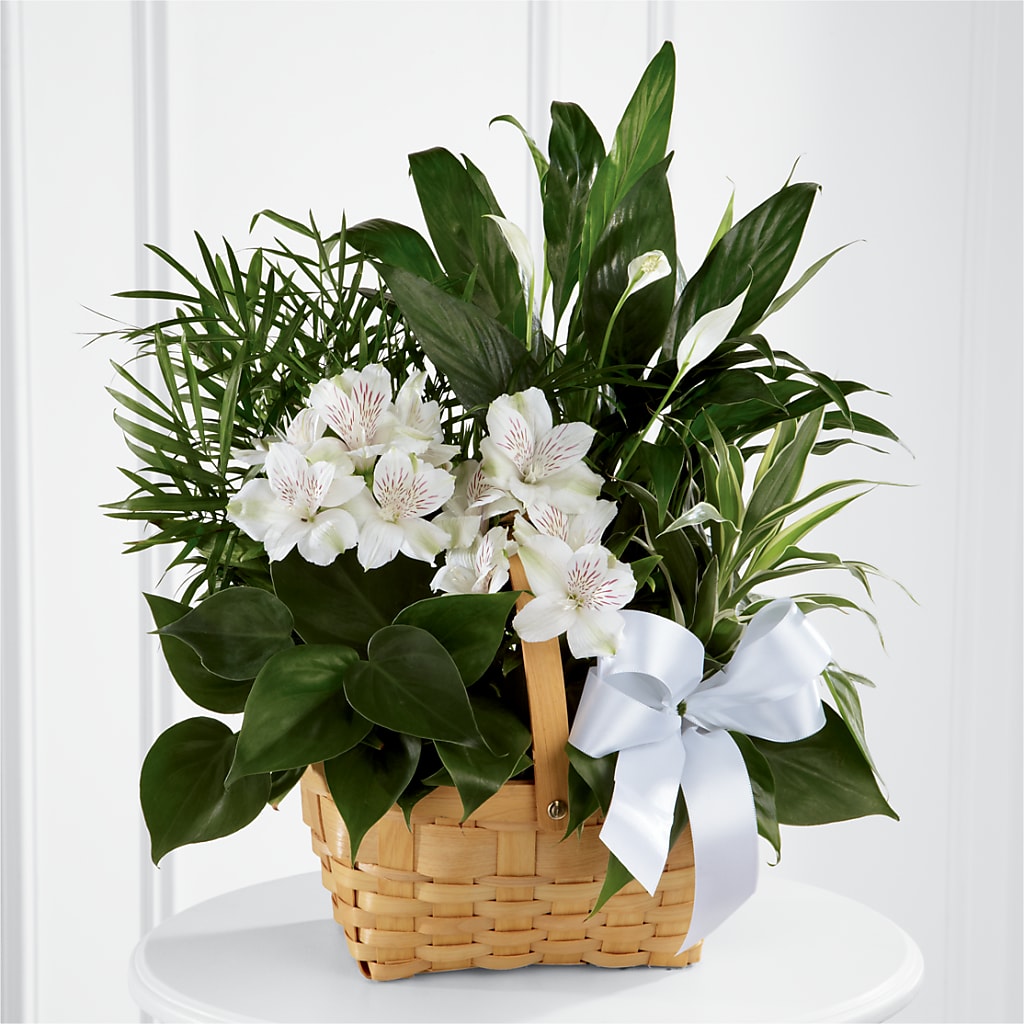 Peace & Serenity Dishgarden – MELINDA MCCOY'S FLOWERS, Long Beach CA