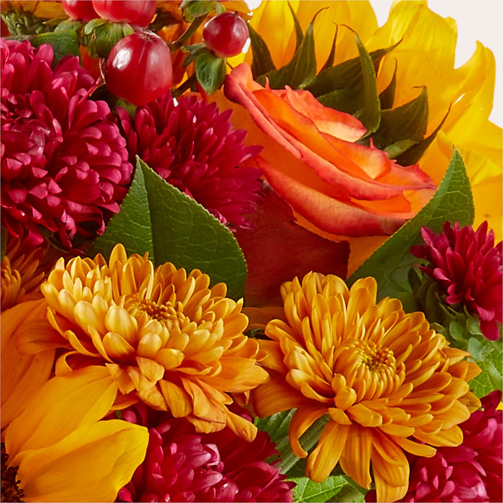 Sweater Season - A Florist Original – MELINDA MCCOY'S FLOWERS, Long Beach CA