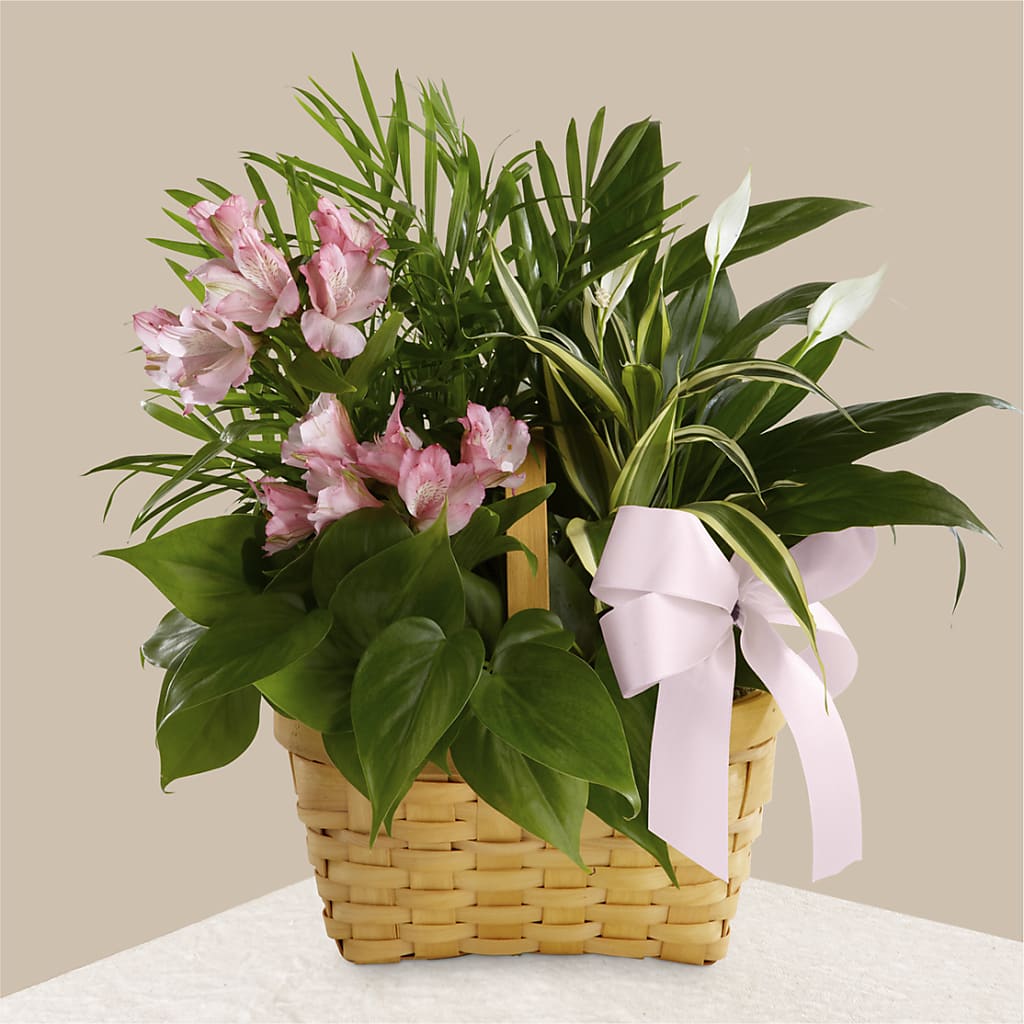 Living Spirit Dishgarden – MELINDA MCCOY'S FLOWERS, Long Beach CA