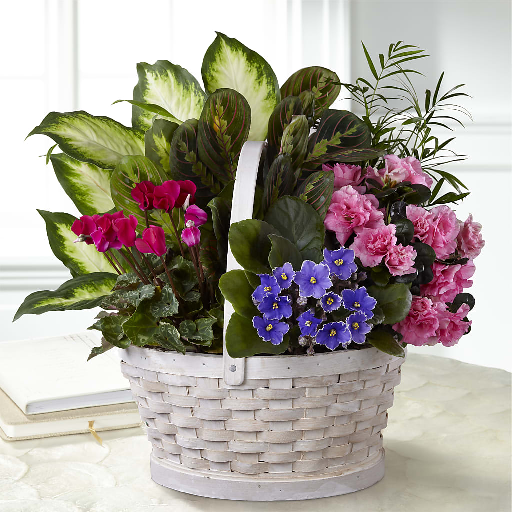 Peaceful Garden Planter – MELINDA MCCOY'S FLOWERS, Long Beach CA