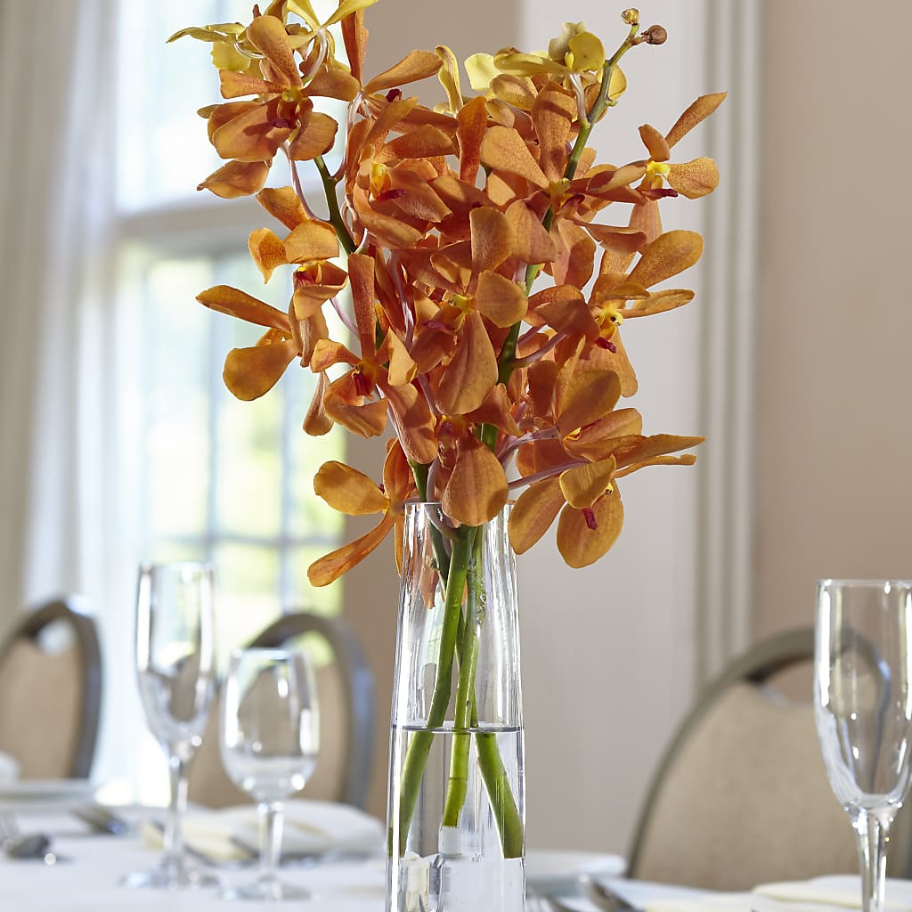 Orange Mokara Bud Vase – MELINDA MCCOY'S FLOWERS, Long Beach CA