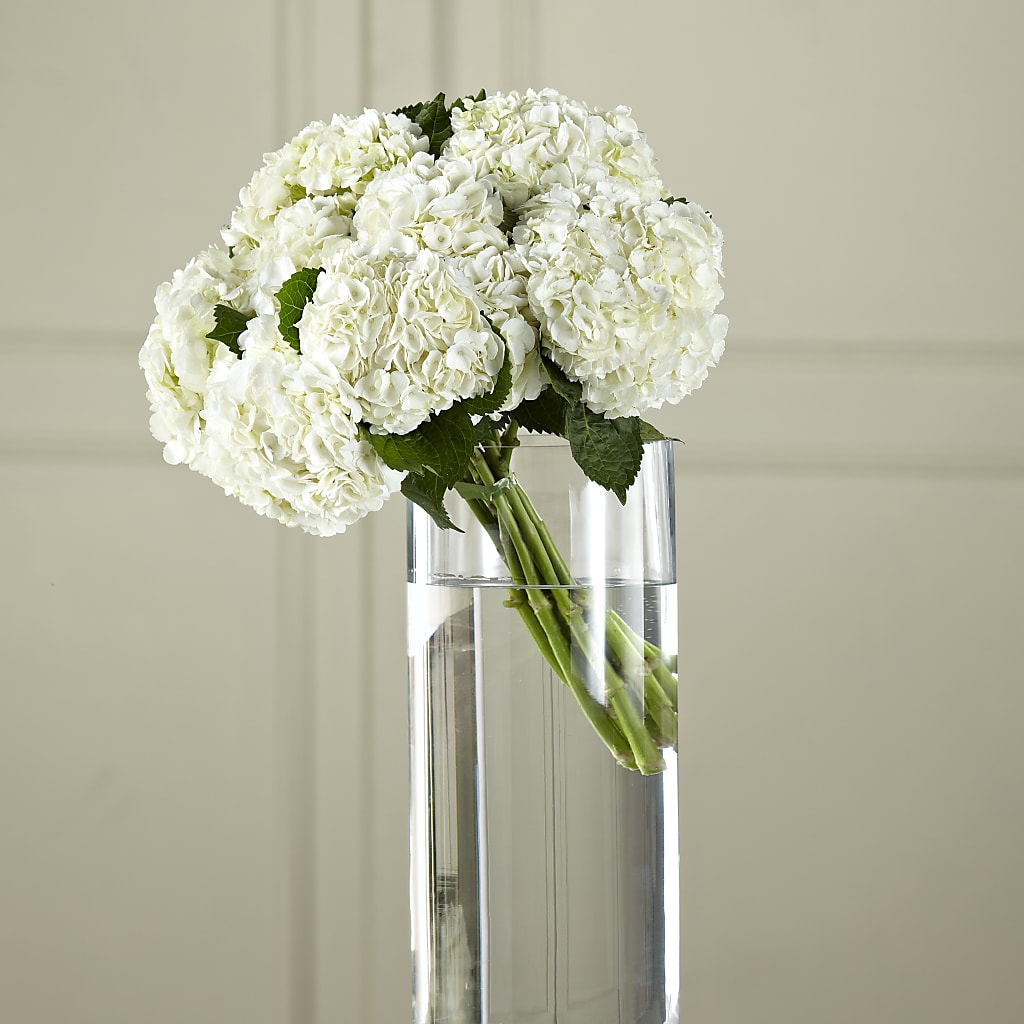 White Hydrangea Hand-Tied Bouquet – MELINDA MCCOY'S FLOWERS, Long Beach CA