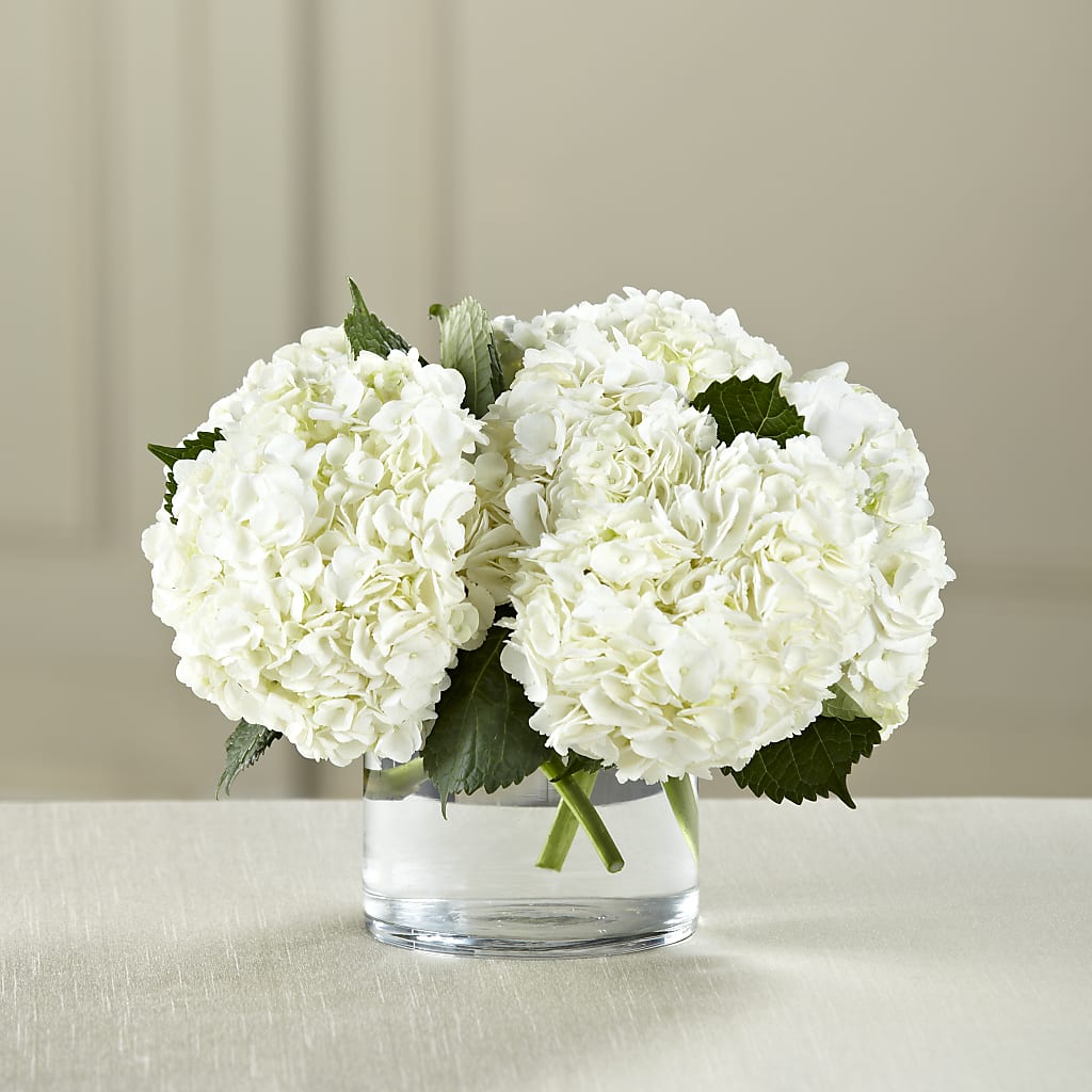 White Hydrangea Bouquet – MELINDA MCCOY'S FLOWERS, Long Beach CA