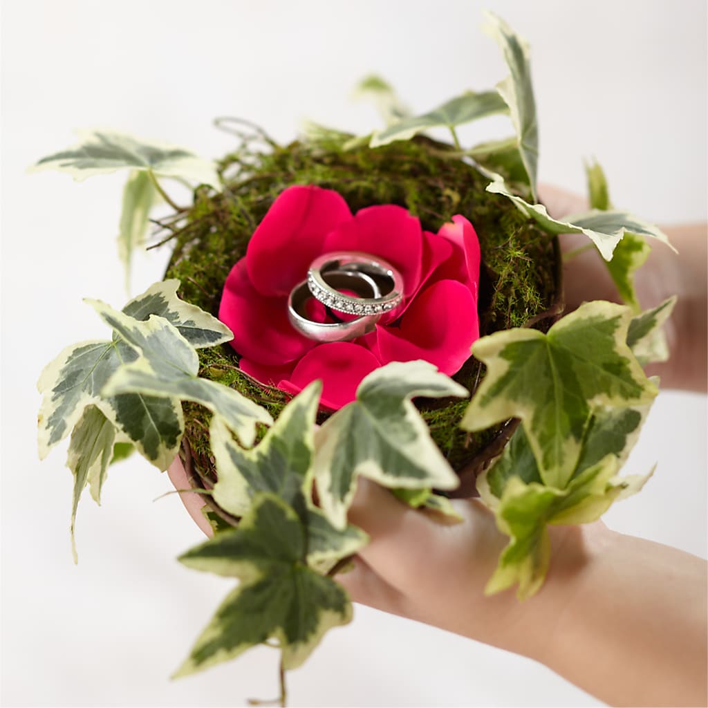 Lila Rose Ring Nest – MELINDA MCCOY'S FLOWERS, Long Beach CA
