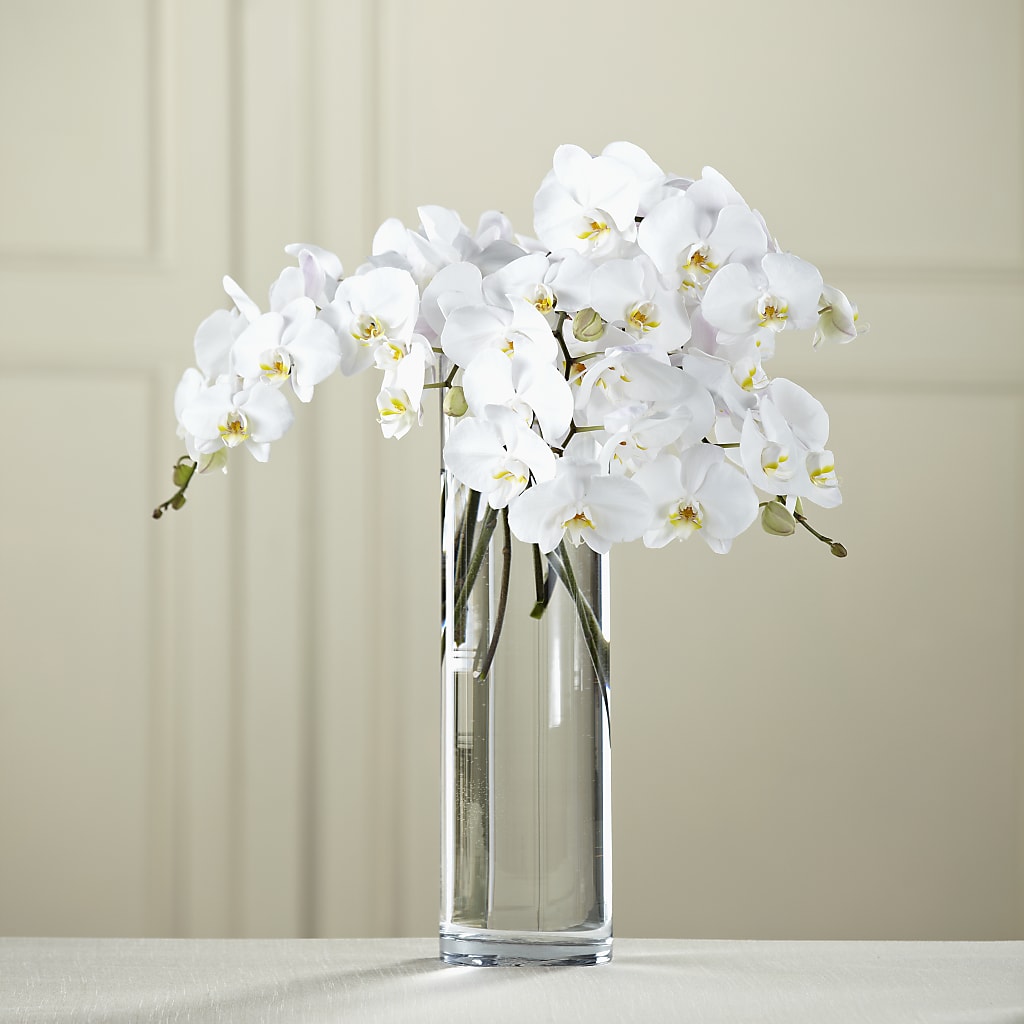 White Phalaenopsis Bouquet – MELINDA MCCOY'S FLOWERS, Long Beach CA