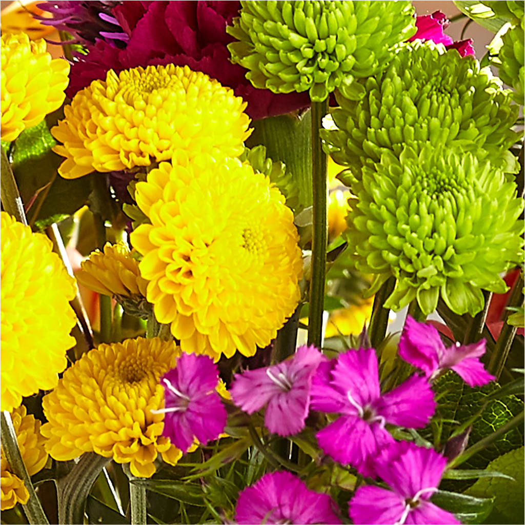 Bold & Bright – A Florist Original – MELINDA MCCOY'S FLOWERS, Long Beach CA