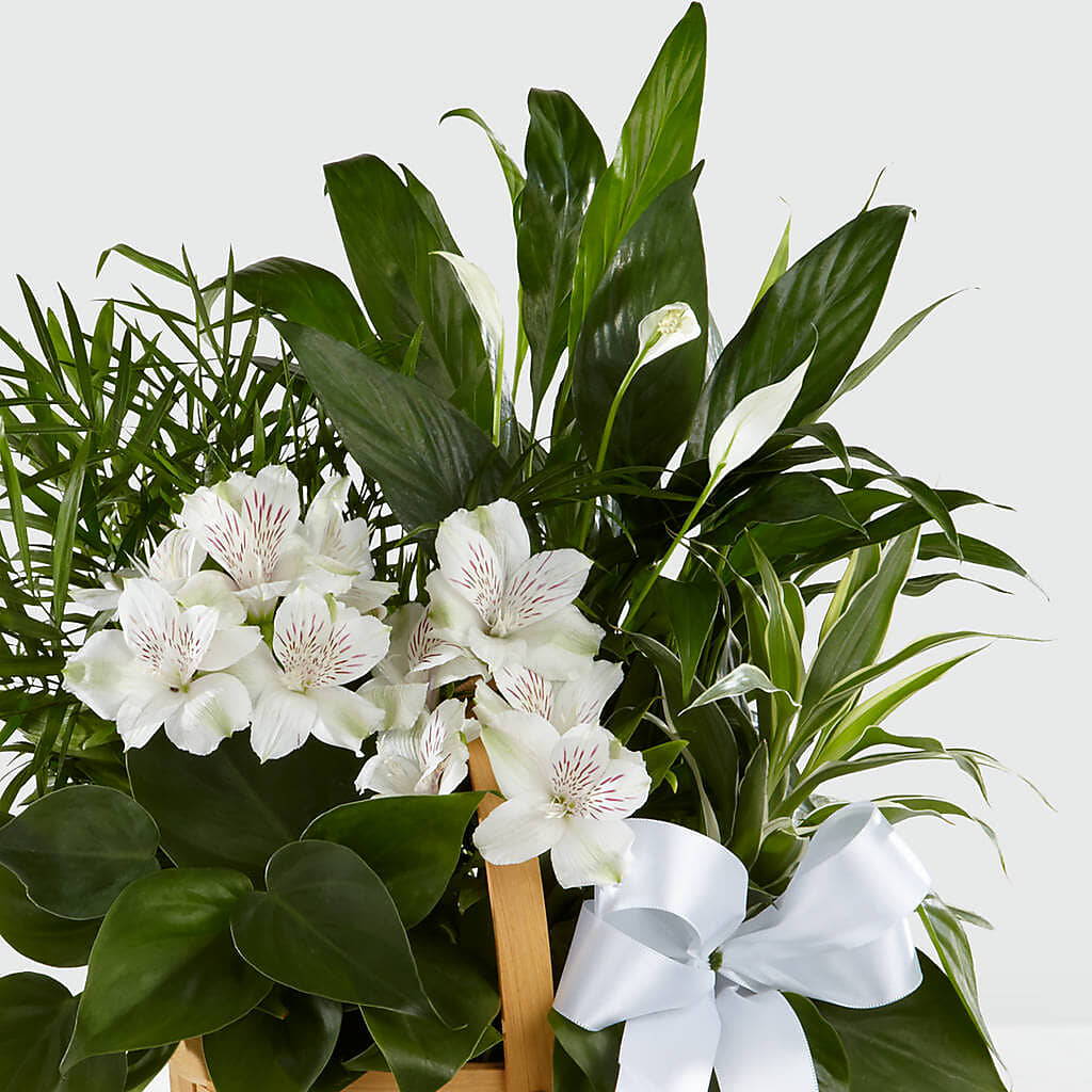 Peace & Serenity Dishgarden – MELINDA MCCOY'S FLOWERS, Long Beach CA