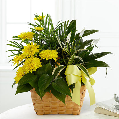Loving Light Dishgarden – MELINDA MCCOY'S FLOWERS, Long Beach CA