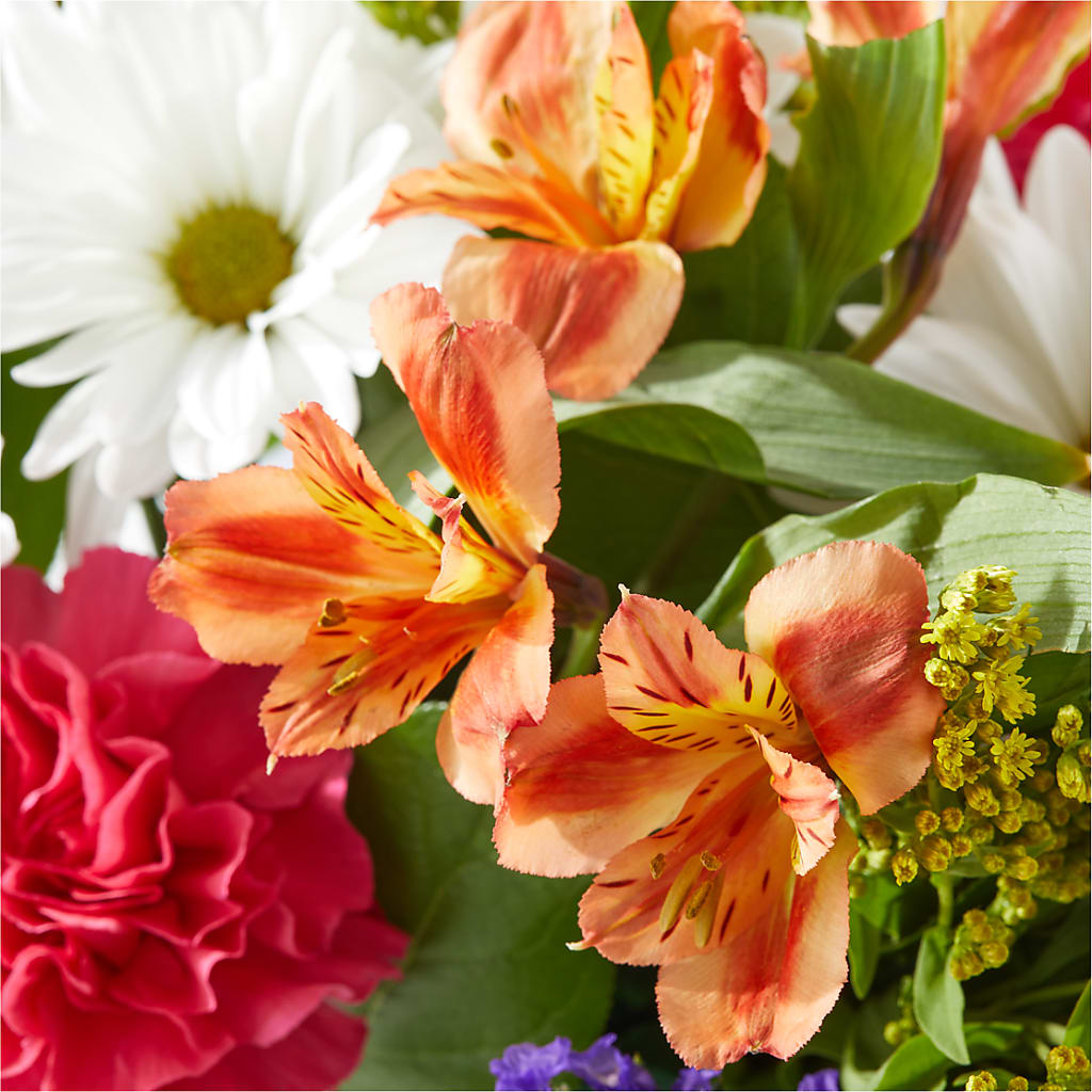 Oopsie Daisy Box Bouquet – MELINDA MCCOY'S FLOWERS, Long Beach CA