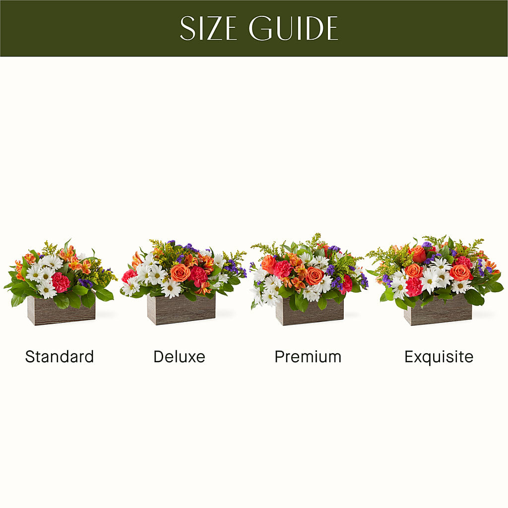 Oopsie Daisy Box Bouquet – MELINDA MCCOY'S FLOWERS, Long Beach CA