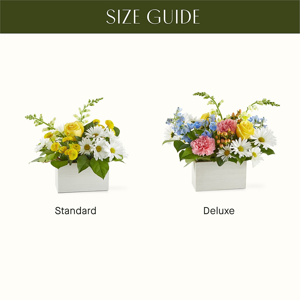 Sun Salutation Box Bouquet – MELINDA MCCOY'S FLOWERS, Long Beach CA