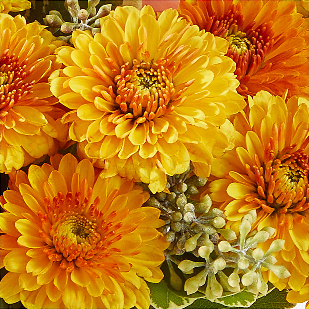 Peachy Pumpkin – MELINDA MCCOY'S FLOWERS, Long Beach CA