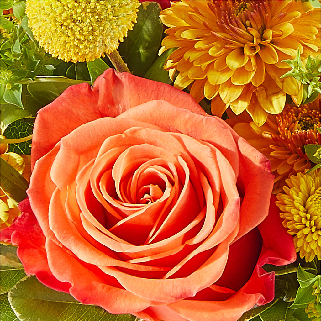 Gourdgeous Pumpkin – MELINDA MCCOY'S FLOWERS, Long Beach CA
