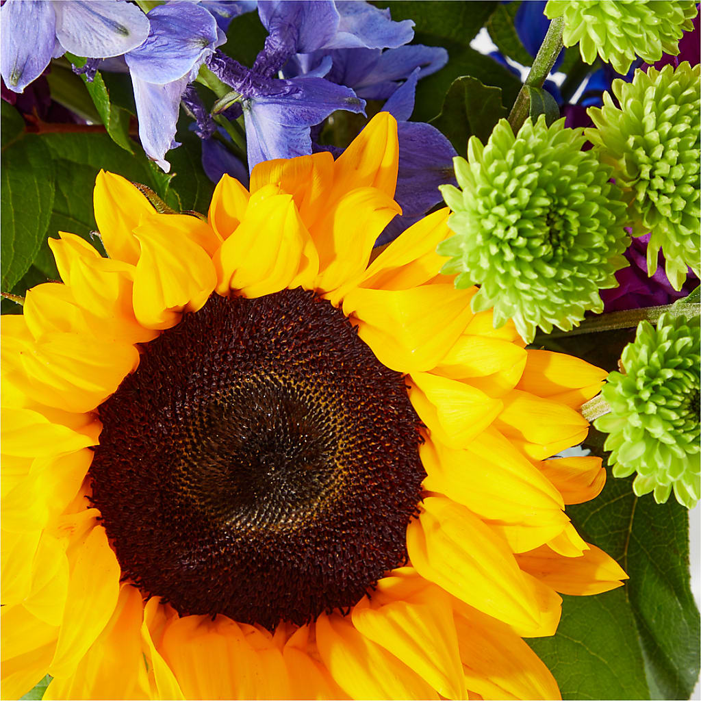 Catching Rays Bouquet – MELINDA MCCOY'S FLOWERS, Long Beach CA