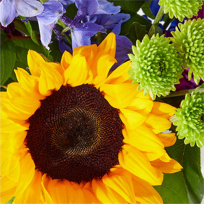 Catching Rays Bouquet – MELINDA MCCOY'S FLOWERS, Long Beach CA