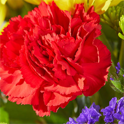 Brighter Days Bouquet – MELINDA MCCOY'S FLOWERS, Long Beach CA