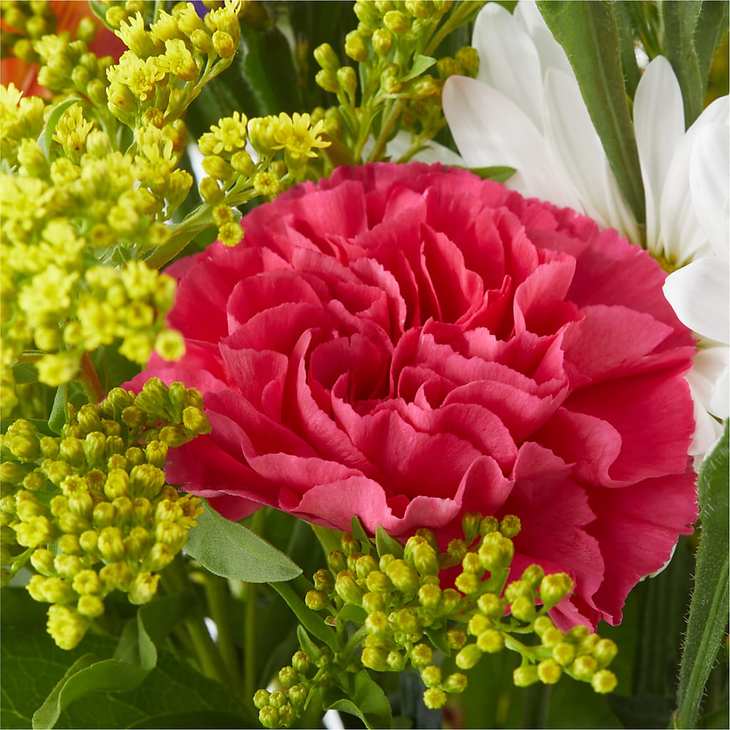 Oopsie Daisy Bouquet – MELINDA MCCOY'S FLOWERS, Long Beach CA
