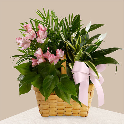 Living Spirit Dishgarden – MELINDA MCCOY'S FLOWERS, Long Beach CA