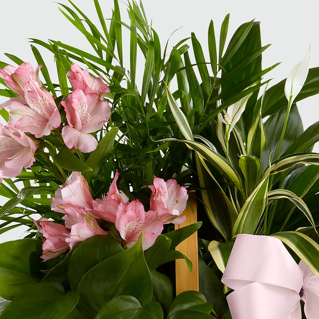 Living Spirit Dishgarden – MELINDA MCCOY'S FLOWERS, Long Beach CA