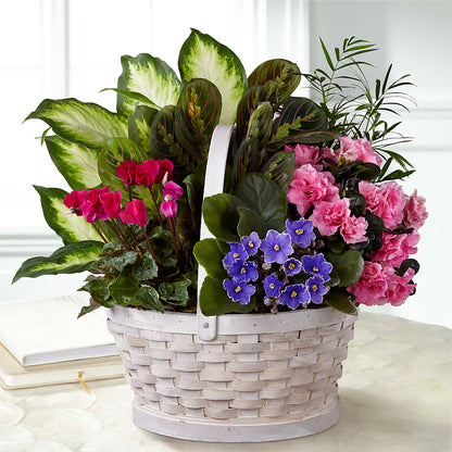 Peaceful Garden Planter – MELINDA MCCOY'S FLOWERS, Long Beach CA