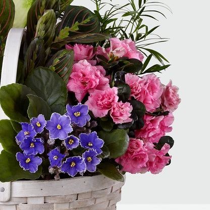 Peaceful Garden Planter – MELINDA MCCOY'S FLOWERS, Long Beach CA