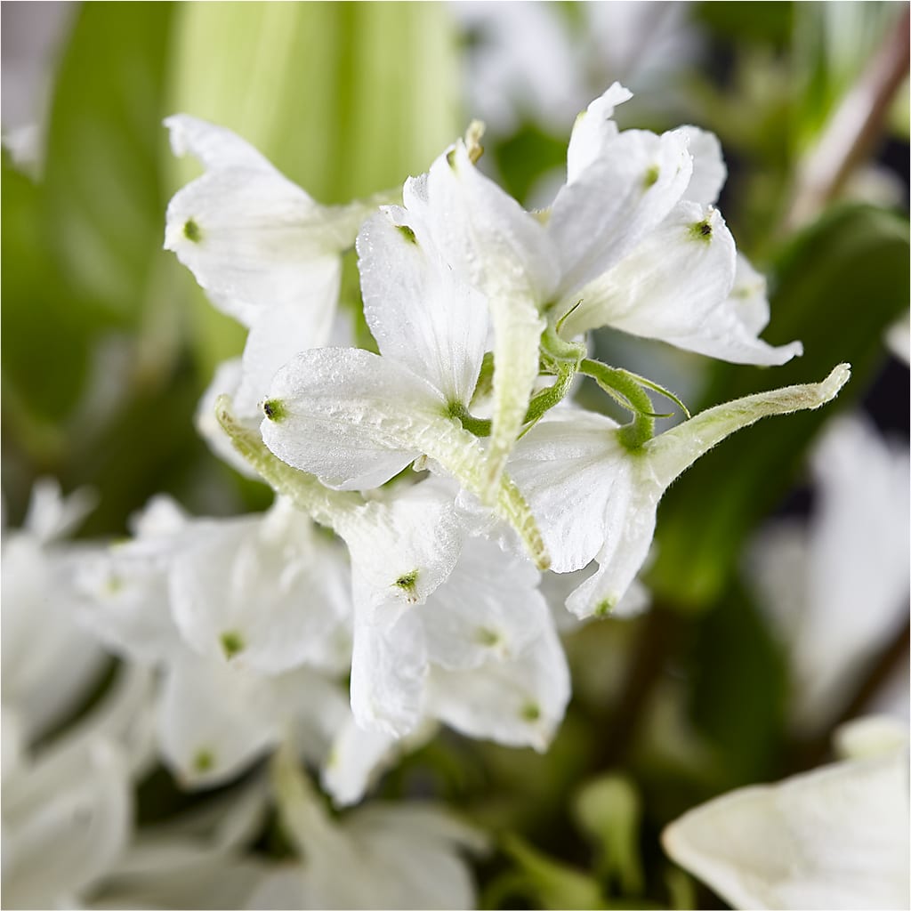 Classic Ivory – A Florist Original – MELINDA MCCOY'S FLOWERS, Long Beach CA