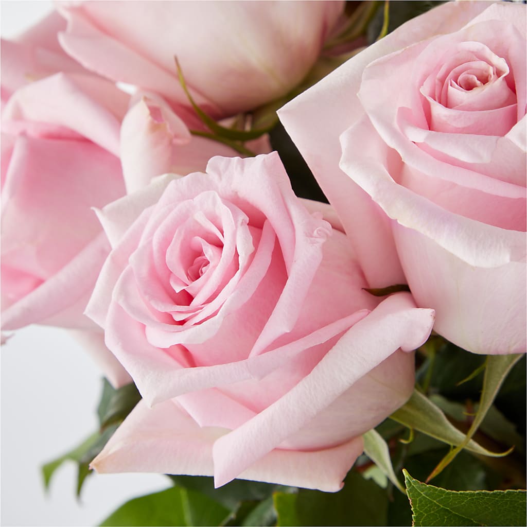 Picture Perfect Pink Rose Bouquet – MELINDA MCCOY'S FLOWERS, Long Beach CA