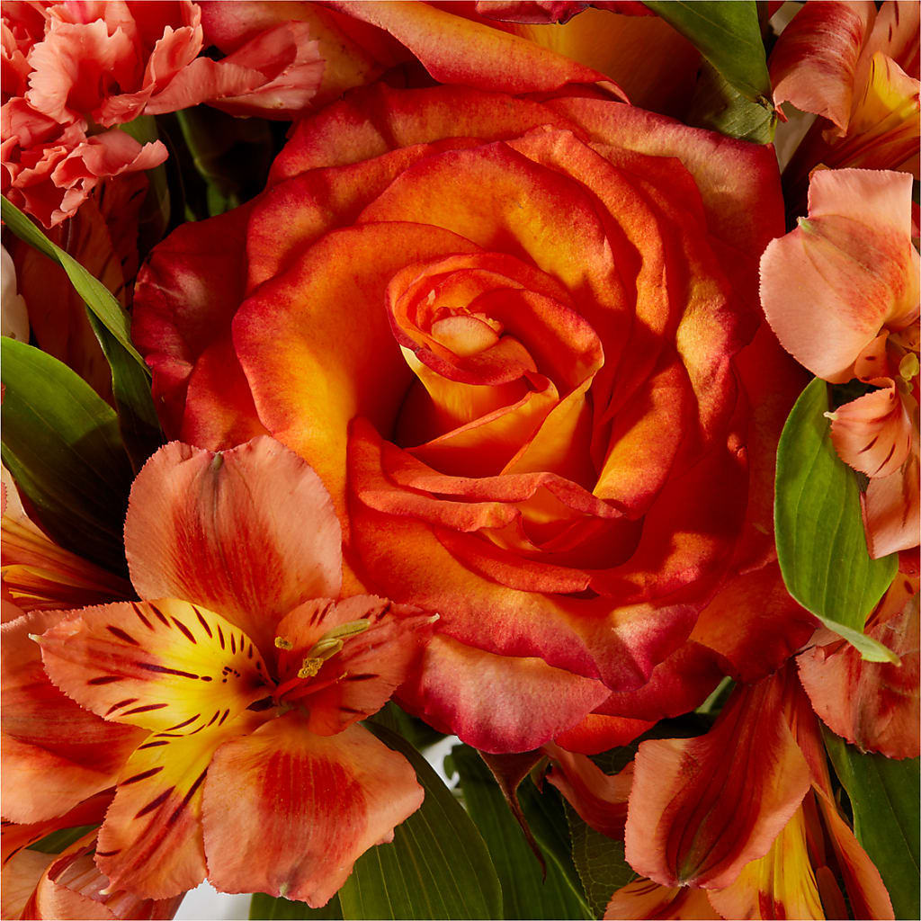 Apricot Glow Bouquet – MELINDA MCCOY'S FLOWERS, Long Beach CA