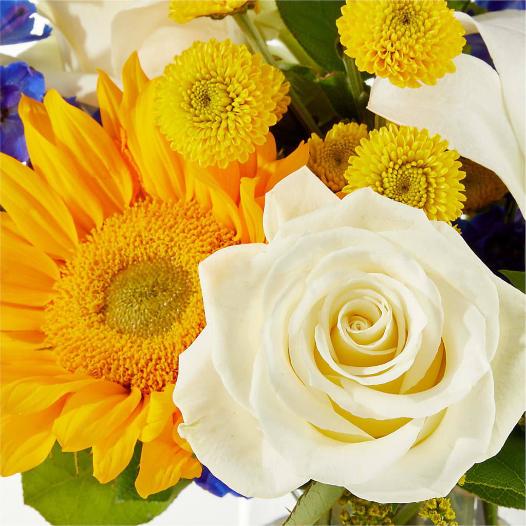 Stargazing Bouquet – MELINDA MCCOY'S FLOWERS, Long Beach CA
