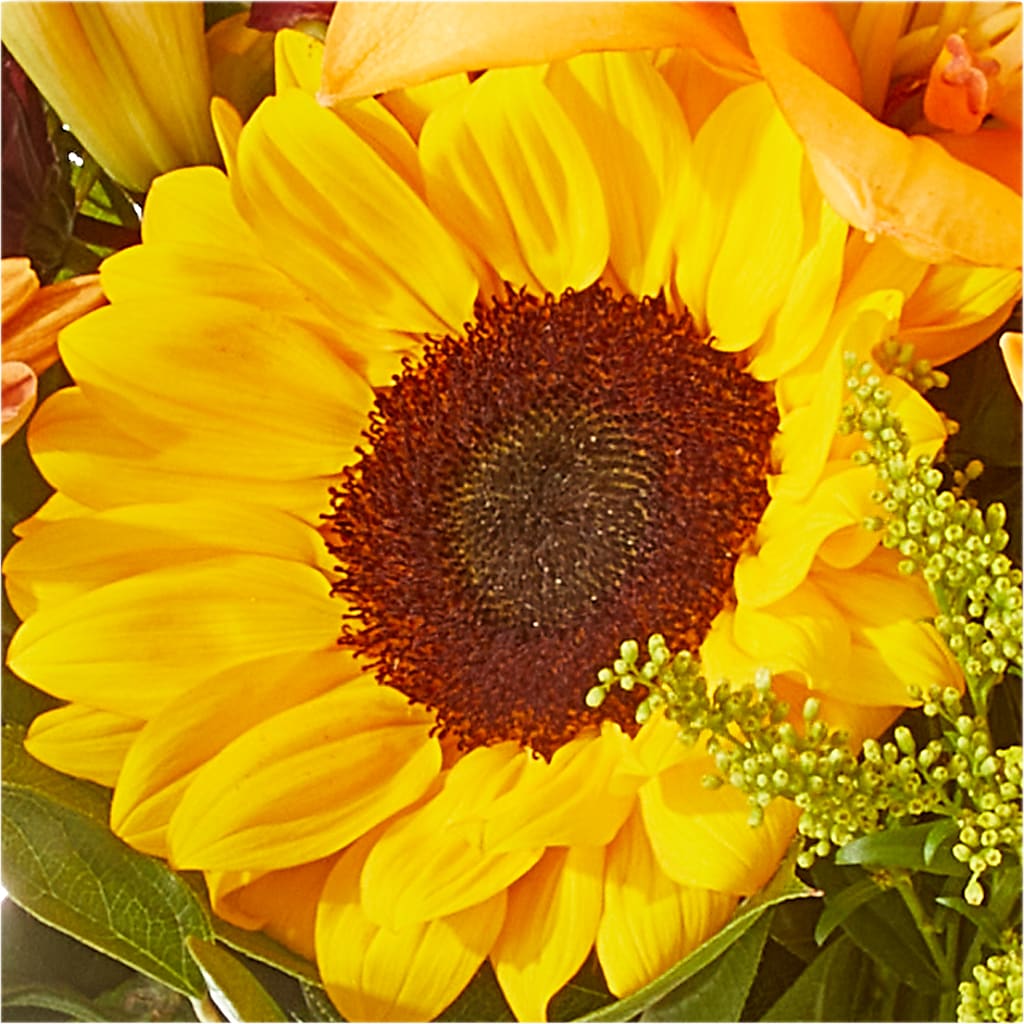 Seasons Change Bouquet – MELINDA MCCOY'S FLOWERS, Long Beach CA