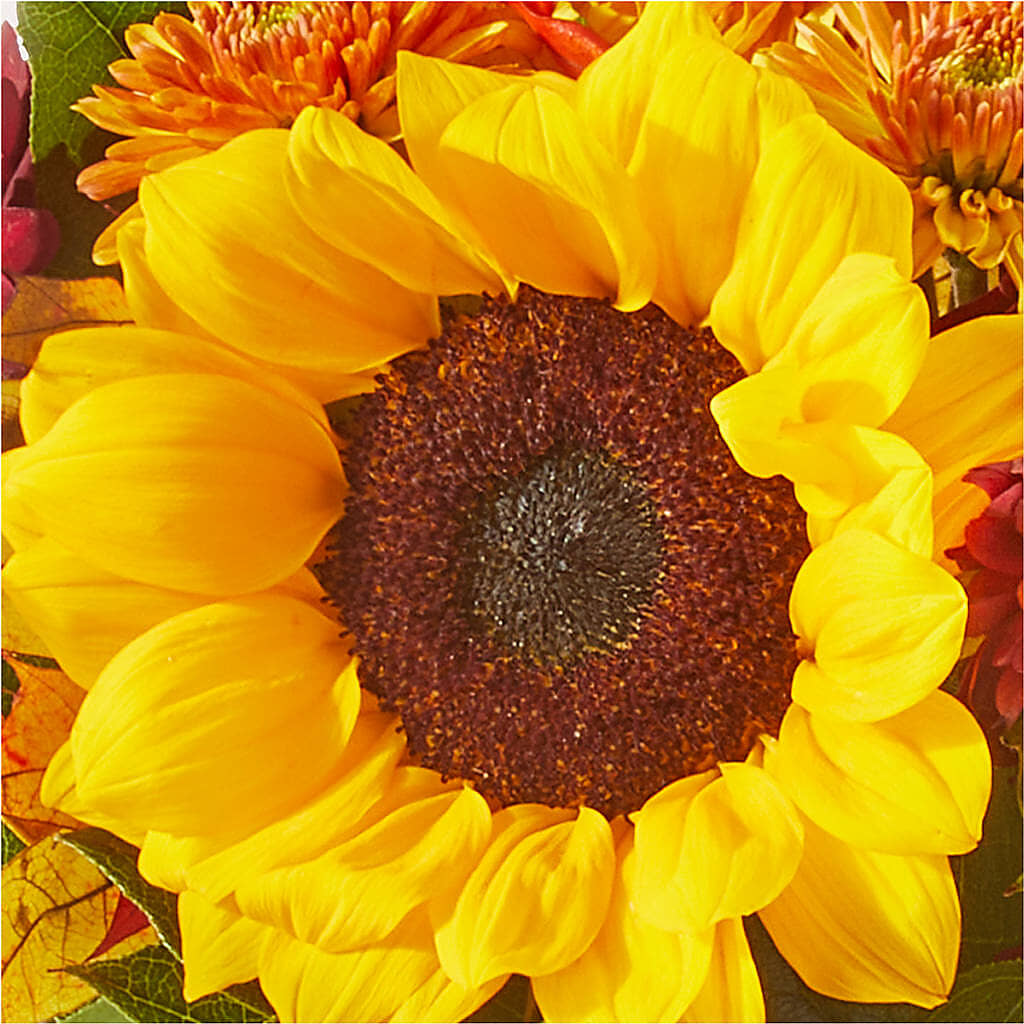 Sunny Side Bouquet – MELINDA MCCOY'S FLOWERS, Long Beach CA