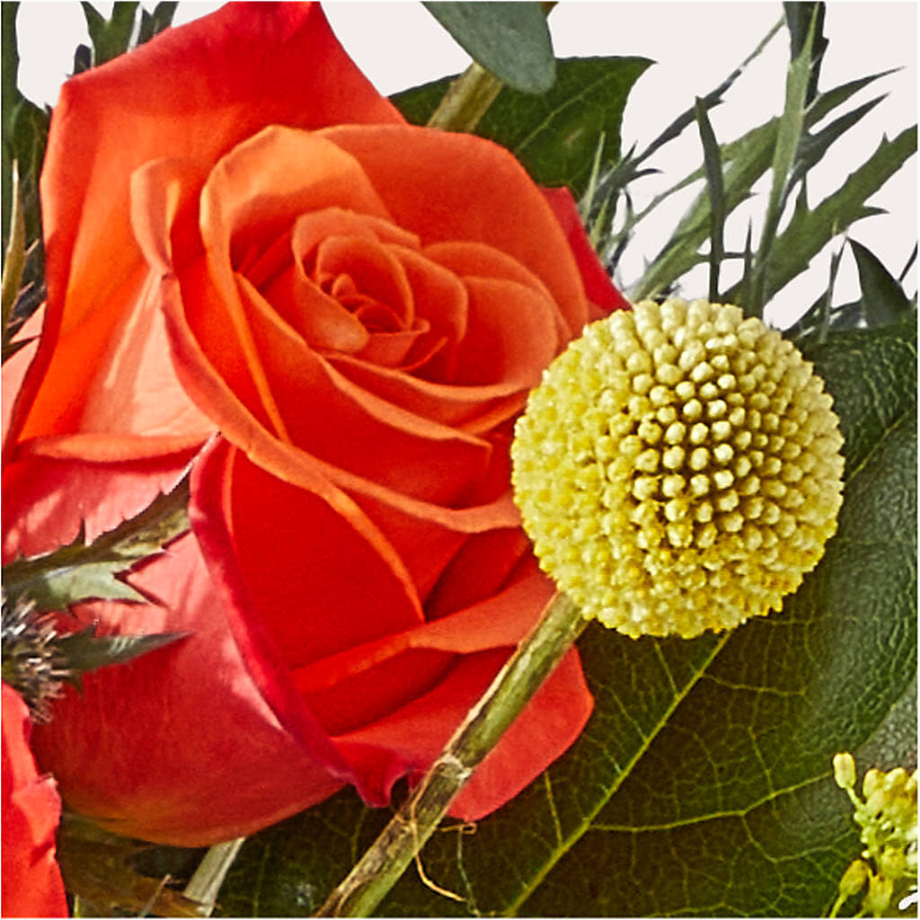Disco Bouquet – MELINDA MCCOY'S FLOWERS, Long Beach CA
