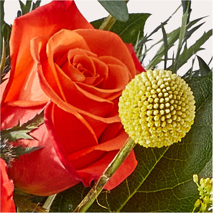 Disco Bouquet – MELINDA MCCOY'S FLOWERS, Long Beach CA