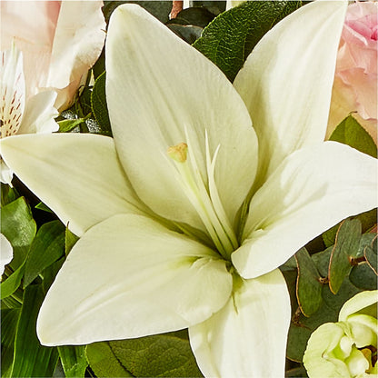 Ballet Slippers Bouquet – MELINDA MCCOY'S FLOWERS, Long Beach CA