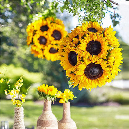 Sublime Garden Hanging Arrangement – MELINDA MCCOY'S FLOWERS, Long Beach CA