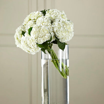 White Hydrangea Hand-Tied Bouquet – MELINDA MCCOY'S FLOWERS, Long Beach CA
