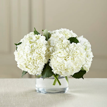 White Hydrangea Bouquet – MELINDA MCCOY'S FLOWERS, Long Beach CA