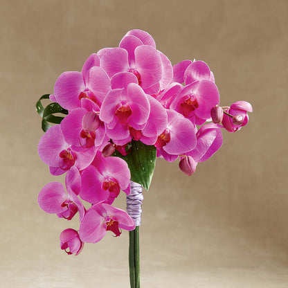 Glorious Bouquet – MELINDA MCCOY'S FLOWERS, Long Beach CA