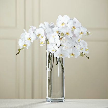 White Phalaenopsis Bouquet – MELINDA MCCOY'S FLOWERS, Long Beach CA